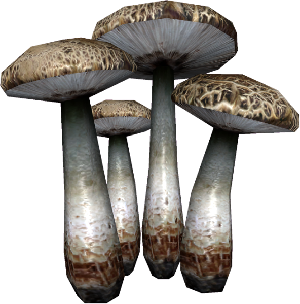 File:20251118162745!EN-Ingredient-Laundress Mushroom.png