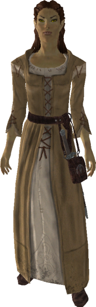 File:20251118162829!EN-NPC-Apprentice Avira.png