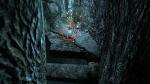 20251118162826!EN-Quest-In Our Shadows 4.jpg