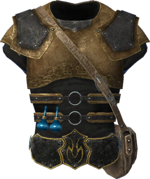EN-Item-Nemesis Garb.png