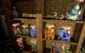 EN-Place-Alchemy & Magic.jpg