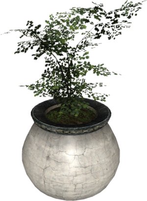 438px-EN-Placeable-Maple.png