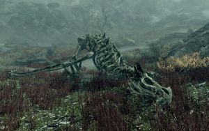 EN-Places-Dragon Aerie4.jpg