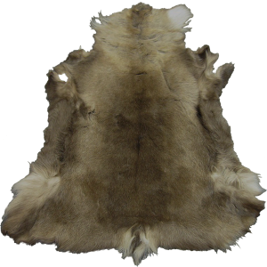 900px-EN-Placeable-Pelt 2.png