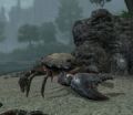 Thumbnail for version as of 16:35, 18 November 2025