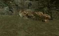 Thumbnail for version as of 16:34, 18 November 2025