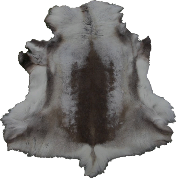 File:899px-EN-Placeable-Pelt 3.png