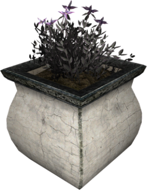 310px-EN-Placeable-Nightshade.png
