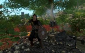 320px-EN-Places-Teldor's Camp3.jpg