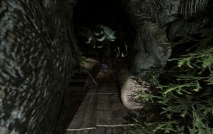 432px-EN-Places-Brownrock Cave1.jpg