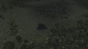 20251118162833!EN-Quest-The Void Underwater Lockbox.png