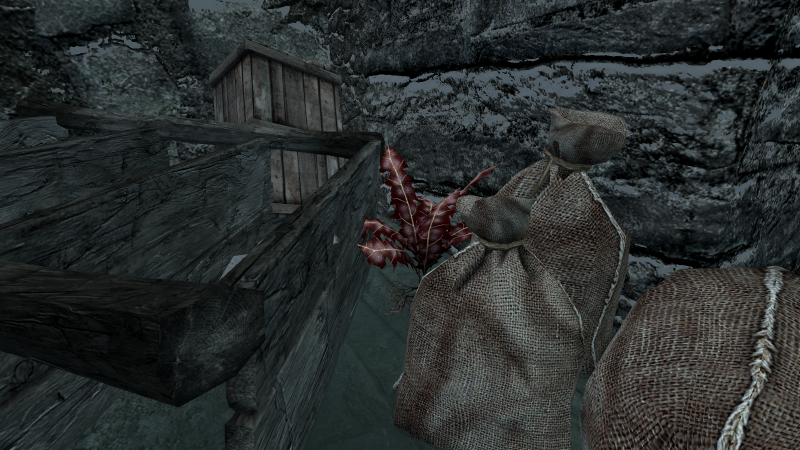 File:20251118162841!EN-Places-Dark Leap Watch 2.png