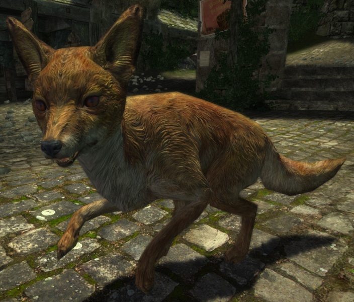 File:EN-Creature-Fox.jpg