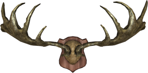 1920px-EN-Placeable-Trophy Antlers.png