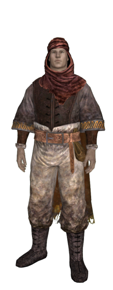 File:20251118163932!EN-Item-Item Set-Mysterious Nomad.png