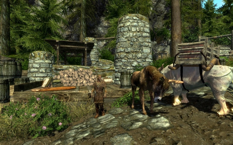 File:EN-Places-Field near the Mill2.jpg