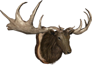 20251118162737!EN-Placeable-Trophy Elk.png