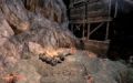 Thumbnail for version as of 16:30, 18 November 2025