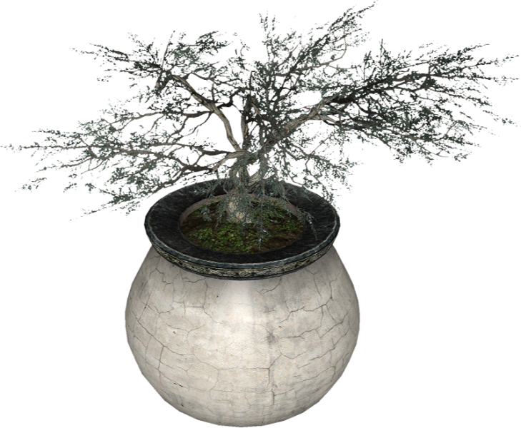File:20251118163927!EN-Placeable-Juniper.png