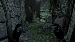 Old Cellar of the Tower