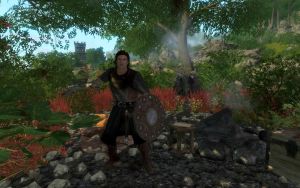 20251118162731!EN-Places-Teldor's Camp3.jpg