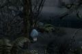 Thumbnail for version as of 16:32, 18 November 2025