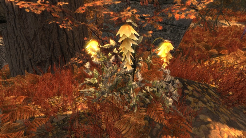 File:EN-Quest-Trails in the Sand 5.jpg