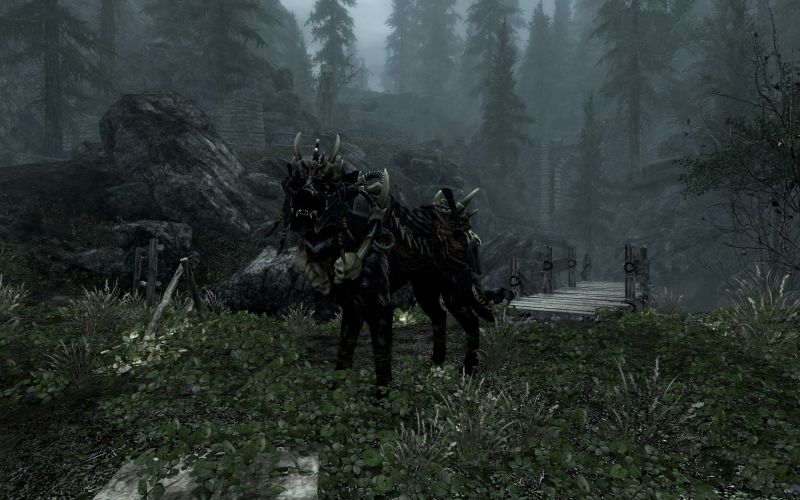 File:20251118162841!EN-Creature-Shadow of Transcience Front.jpg