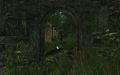 Thumbnail for version as of 16:35, 18 November 2025