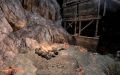 Thumbnail for version as of 16:30, 18 November 2025
