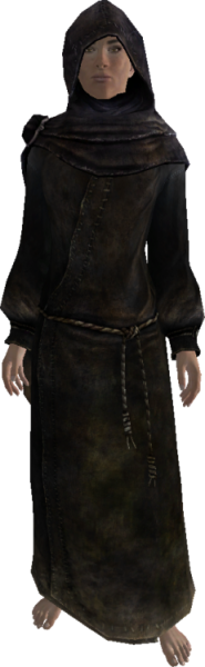 File:231px-EN-NPC-The Veiled Woman.png