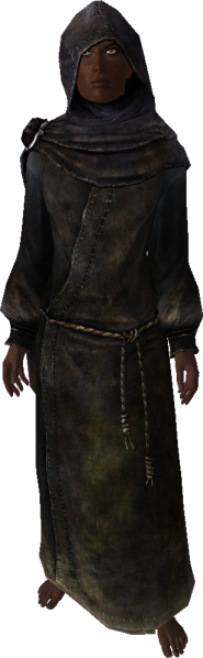 File:EN-NPC-The Veiled Woman 2.png