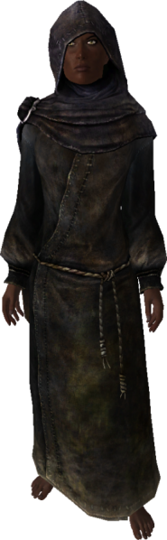 File:278px-EN-NPC-The Veiled Woman 2.png