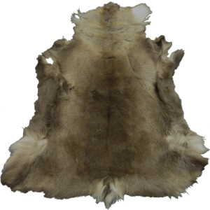 400px-EN-Placeable-Pelt 2.png