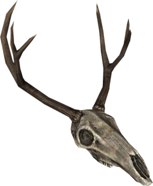 495px-EN-Placeable-Deer Skull.png