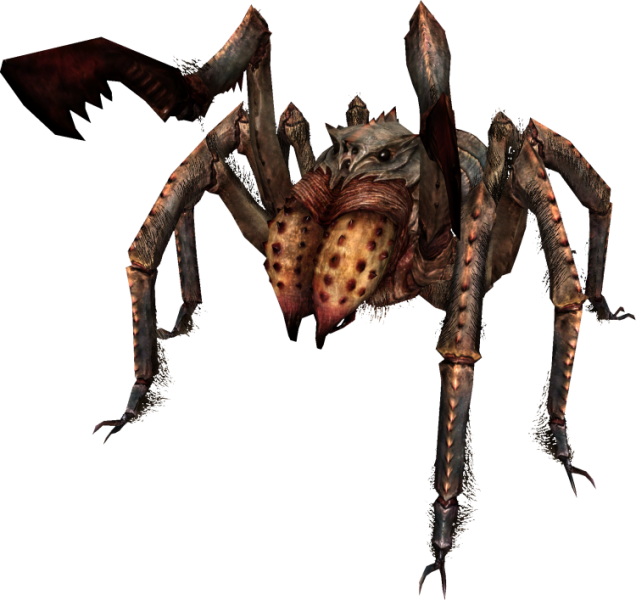 File:750px-EN-Creature-Large Moss Crawler.png