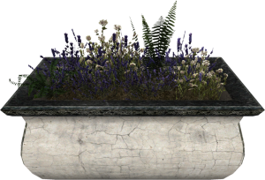 800px-EN-Placeable-Lavender.png