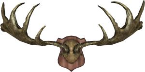 1600px-EN-Placeable-Trophy Antlers.png