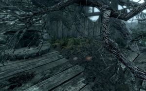 1600px-EN-Places-Unamrked Shack2.jpg