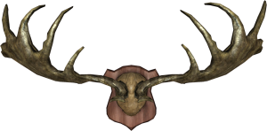 1200px-EN-Placeable-Trophy Antlers.png