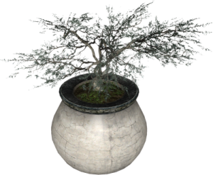 400px-EN-Placeable-Juniper.png