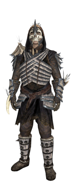 408px-EN-Item-Item Set-Skaragg.png