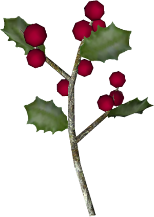 20251118162741!EN-Ingredient-Holly Berry.png