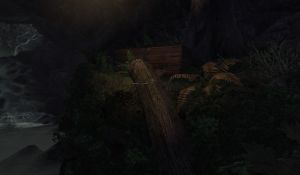 Mossy Mud Log Chest.JPG