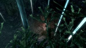 20251118162822!EN-Places-Mana Pond5.jpg