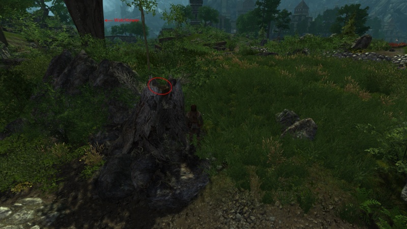 File:EN-Quest-The Biggest Egg Hunt Ever03.jpg