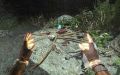 Thumbnail for version as of 16:31, 18 November 2025