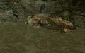 Thumbnail for version as of 16:34, 18 November 2025