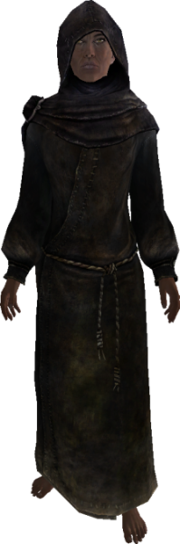 File:224px-EN-NPC-The Veiled Woman 3.png