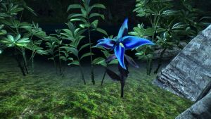 20251118163926!EN-Quest-A Drop in the Ocean 4.jpg